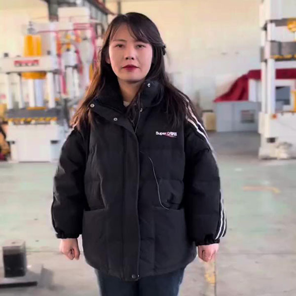 100吨伺服液压机 100t光栅保护四柱液压机